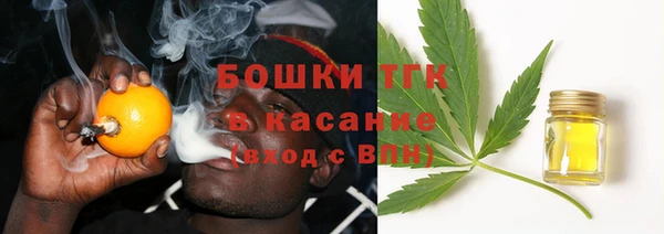 хмурый Михайловск