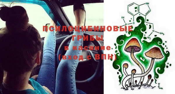 хмурый Михайловск