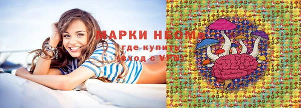 хмурый Михайловск