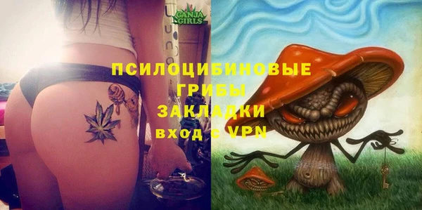 a pvp Михайлов