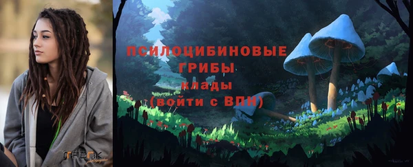 хмурый Михайловск