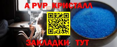 спиды Канаш