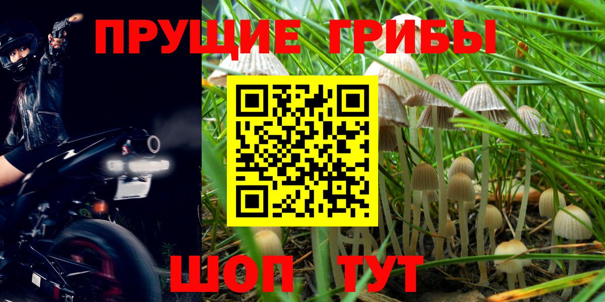 Галлюциногенные грибы Magic Shrooms  Псилоцибиновые грибы MAGIC MUSHROOMS  Новоалтайск 