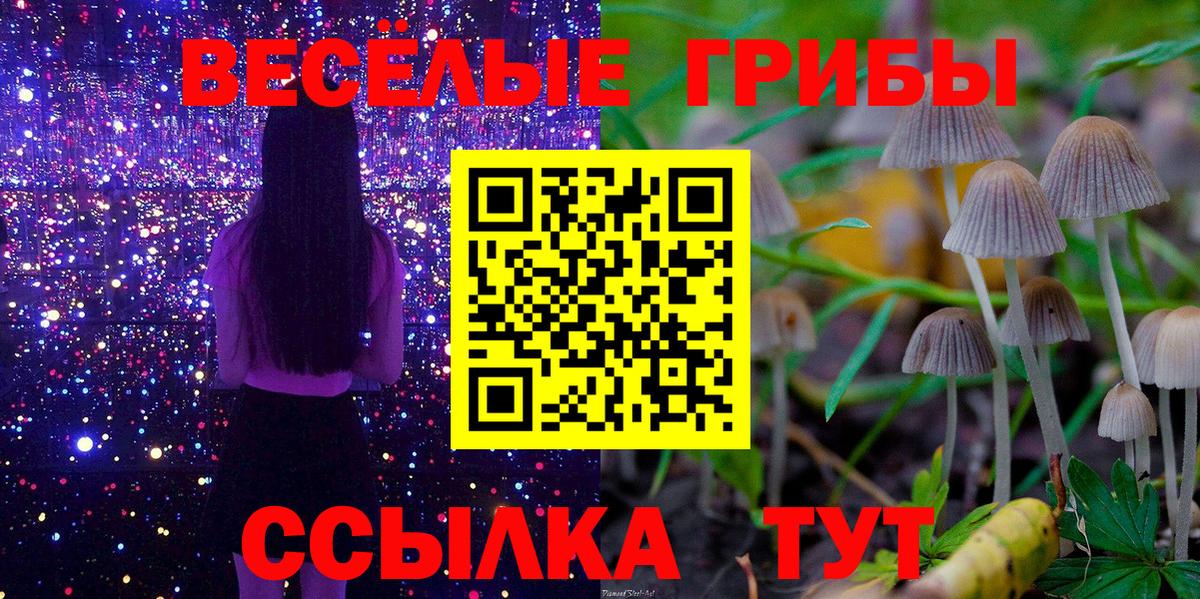 Новоалтайск  где можно купить наркотик  Вход с VPN  Галлюциногенные грибы Cubensis 